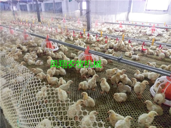 B(yng)uԄ(dng)ϙC(j)