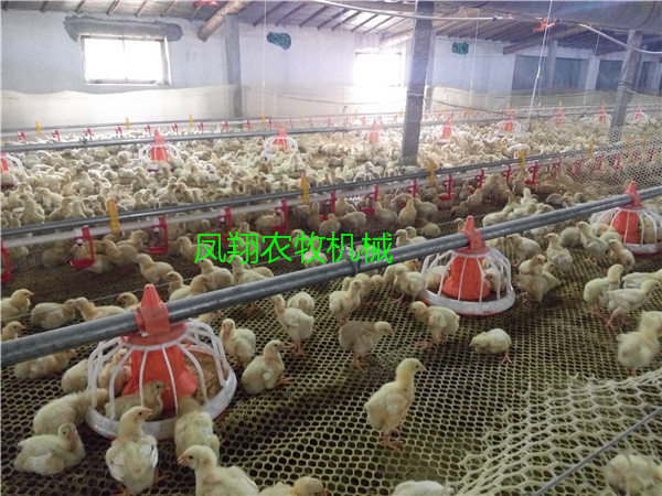 B(yng)uԄ(dng)ϙC(j)