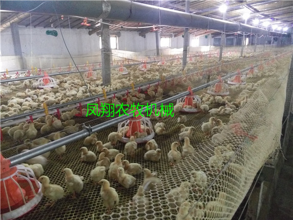 B(yng)uԄ(dng)ϙC(j)