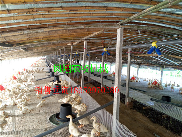 鴨用料線安裝方法 鴨用料線安裝方法