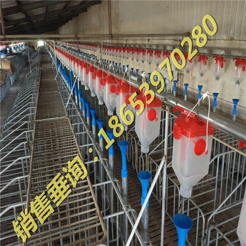 自動(dòng)化養(yǎng)豬料線/喂料機(jī) 自動(dòng)化養(yǎng)豬料線/喂料機(jī)