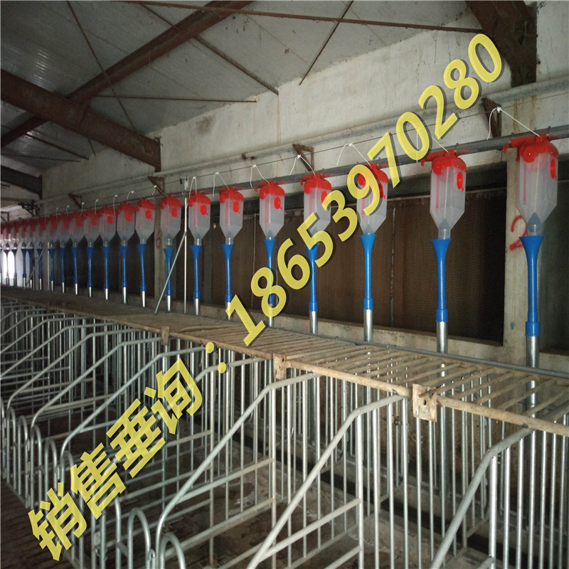 B(yng)iO(sh)/ԄӻB(yng)iϾ/\S