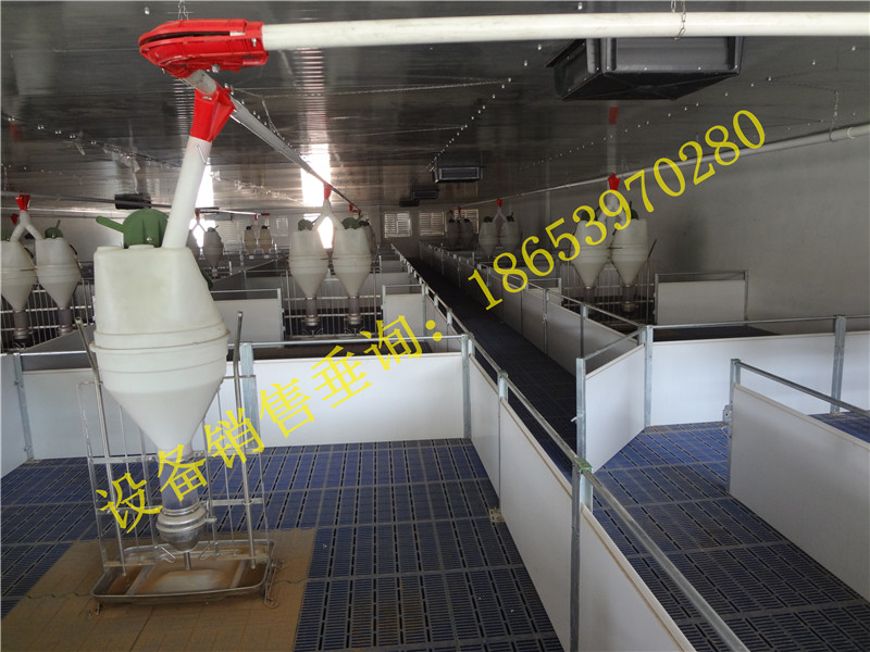 養(yǎng)豬設(shè)備 養(yǎng)豬設(shè)備