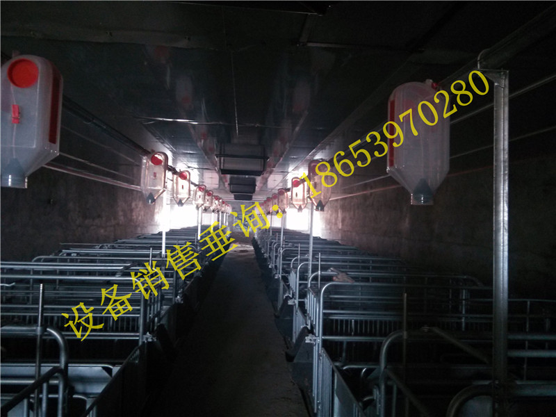 養(yǎng)豬設(shè)備 養(yǎng)豬設(shè)備
