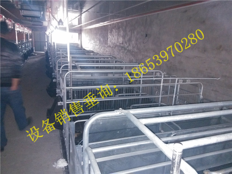 養(yǎng)豬設備 養(yǎng)豬設備