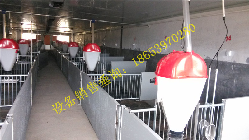 養(yǎng)仔豬設(shè)備 養(yǎng)仔豬設(shè)備