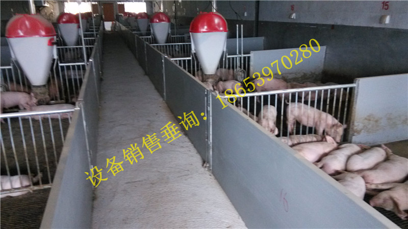 養(yǎng)豬設(shè)備 養(yǎng)豬設(shè)備