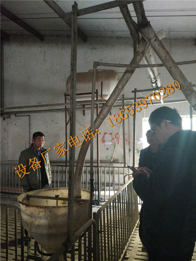 育肥豬料線 育肥豬料線