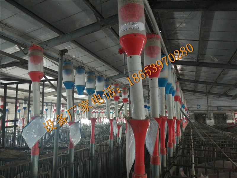 養(yǎng)豬設備 養(yǎng)豬設備