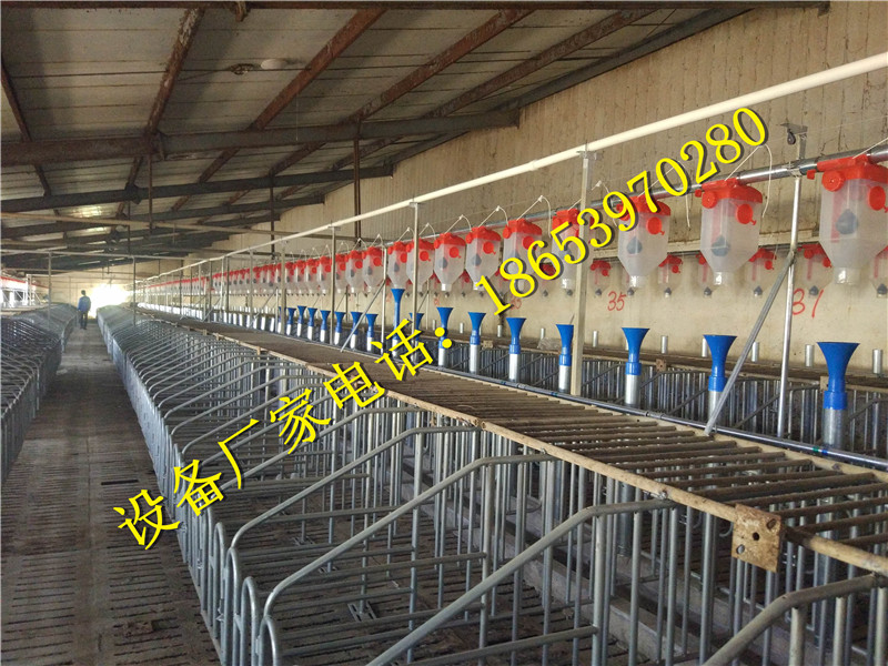 養(yǎng)豬設(shè)備 養(yǎng)豬設(shè)備