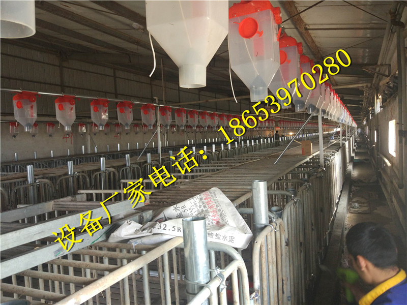 養(yǎng)豬設(shè)備 養(yǎng)豬設(shè)備