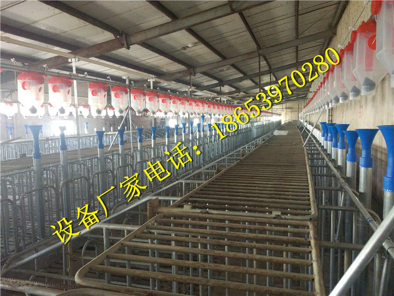 養(yǎng)豬設(shè)備 養(yǎng)豬設(shè)備