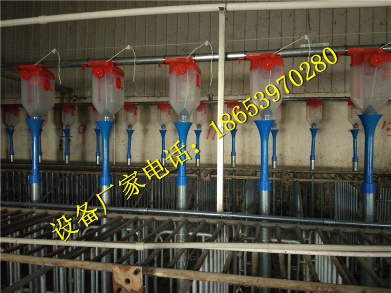 養(yǎng)豬設(shè)備 養(yǎng)豬設(shè)備