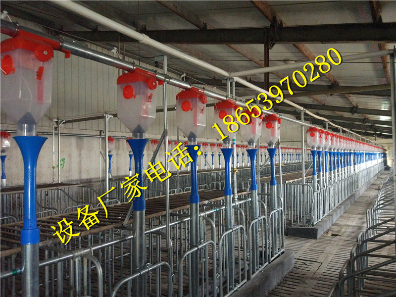 養(yǎng)豬設(shè)備 養(yǎng)豬設(shè)備