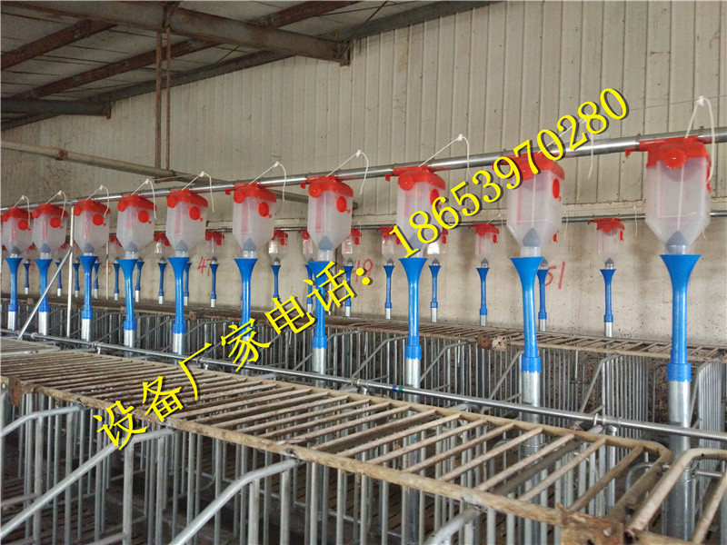 養(yǎng)豬設(shè)備 養(yǎng)豬設(shè)備