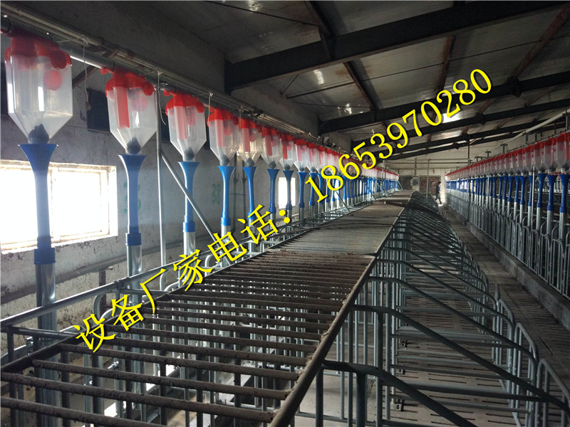 養(yǎng)豬設(shè)備 養(yǎng)豬設(shè)備