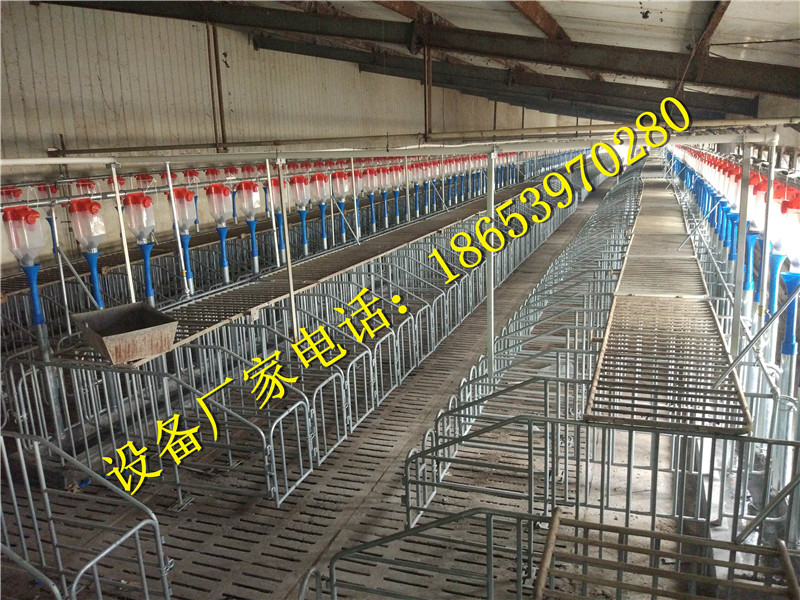 養(yǎng)豬設(shè)備 養(yǎng)豬設(shè)備