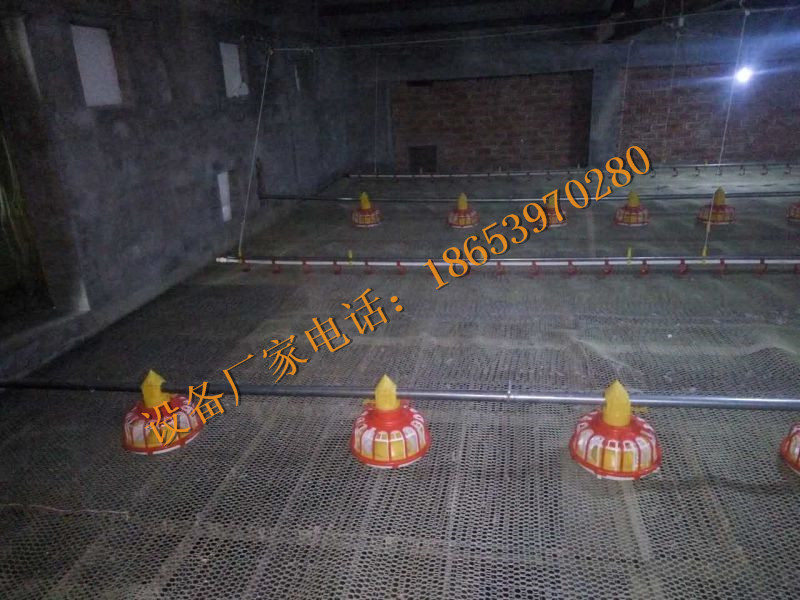 種雞料線 種雞料線