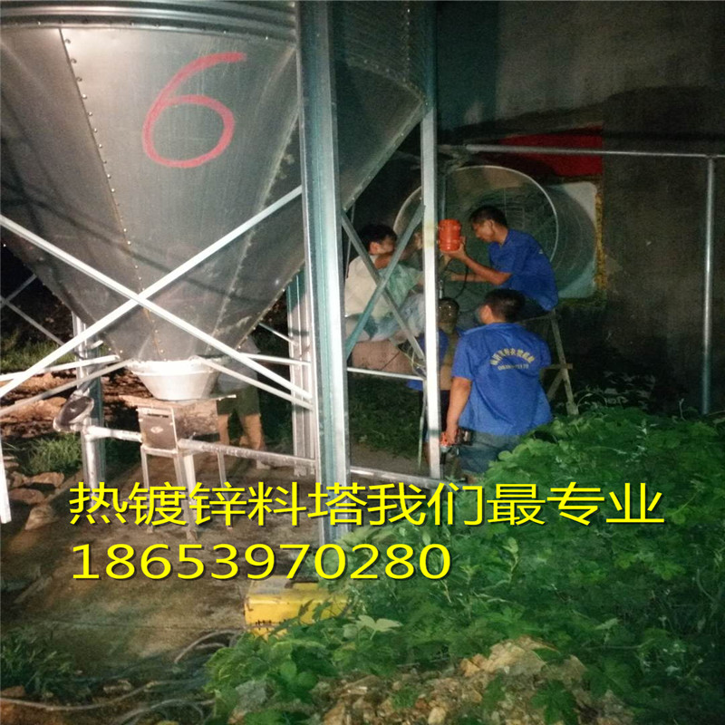 養(yǎng)殖場養(yǎng)殖料塔(用散裝料塔節(jié)省包裝成本) 養(yǎng)殖場養(yǎng)殖料塔(用散裝料塔節(jié)省包裝成本)