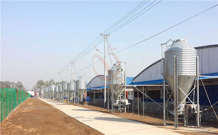 鳳翔農(nóng)牧專業(yè)生產(chǎn)鍍鋅板料塔自動化上料線料塔 鳳翔農(nóng)牧專業(yè)生產(chǎn)鍍鋅板料塔自動化上料線料塔