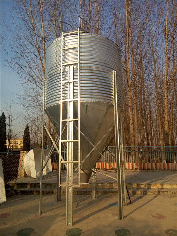 i B(yng)iSԄιϾ \ B(yng)ֳS