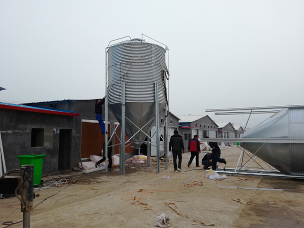 料塔鋼板倉(cāng)料塔養(yǎng)殖專(zhuān)業(yè)提供料塔熱鍍鋅料塔自動(dòng)供料 料塔鋼板倉(cāng)料塔養(yǎng)殖專(zhuān)業(yè)提供料塔熱鍍鋅料塔自動(dòng)供料