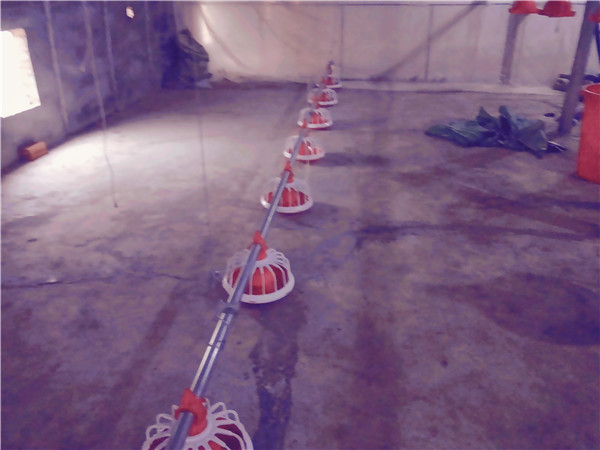 養(yǎng)雞設(shè)備|養(yǎng)鴨設(shè)備|產(chǎn)蛋箱|遮光罩|負(fù)壓風(fēng)機(jī)|雞舍暖風(fēng)機(jī) 養(yǎng)雞設(shè)備|養(yǎng)鴨設(shè)備|產(chǎn)蛋箱|遮光罩|負(fù)壓風(fēng)機(jī)|雞舍暖風(fēng)機(jī)