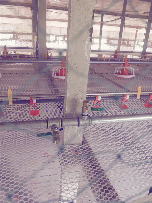 B(yng)uO|B(yng)uCе|uB(yng)ֳO|ԄӻB(yng)uO