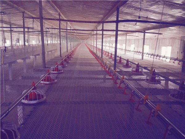 B(yng)uO|B(yng)uCе|uB(yng)ֳO|ԄӻB(yng)uO