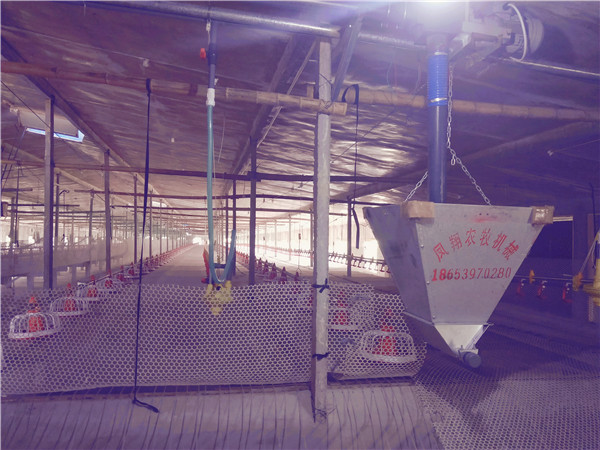 B(yng)uO(sh)-B(yng)uO(sh)S-B(yng)uO(sh)r-B(yng)uO(sh)l(f)