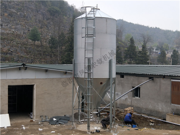 B(yng)ֳSς} iღϹԄӻB(yng)ֳO \